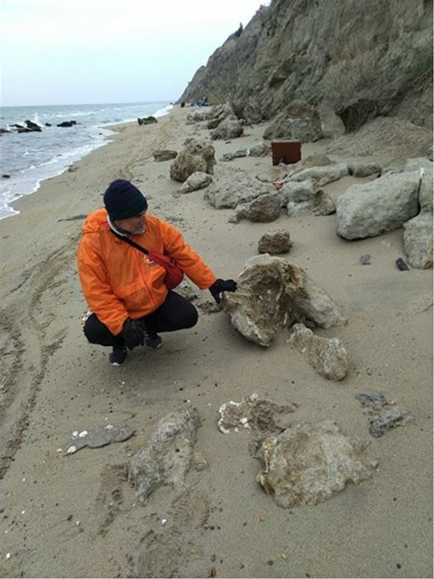 Θεσσαλονίκη: Βρήκαν απολίθωμα Τιτανοχελώνας  – Χρονολογείται πριν από 2-5 εκατομμύρια έτη