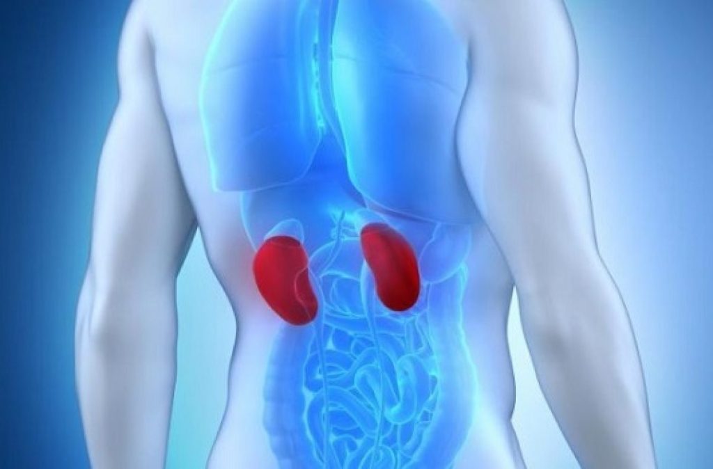 Οι τροφές που καταστρέφουν τα νεφρά – Ποιες να αποφύγετε;