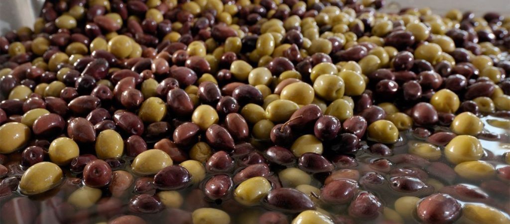 Εξετάζεται το ενδεχόμενο χαρακτηρισμού της ποικιλίας ελιάς Μανάκι ως προϊόν Π.Ο.Π.