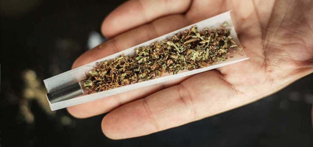 Νέα έρευνα: Η συχνή χρήση κάνναβης μπορεί να μειώσει τον δείκτη νοημοσύνης