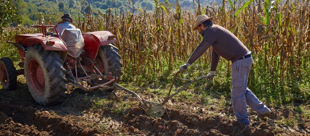 Πότε θα γίνει η καταβολή των αγροτικών συντάξεων