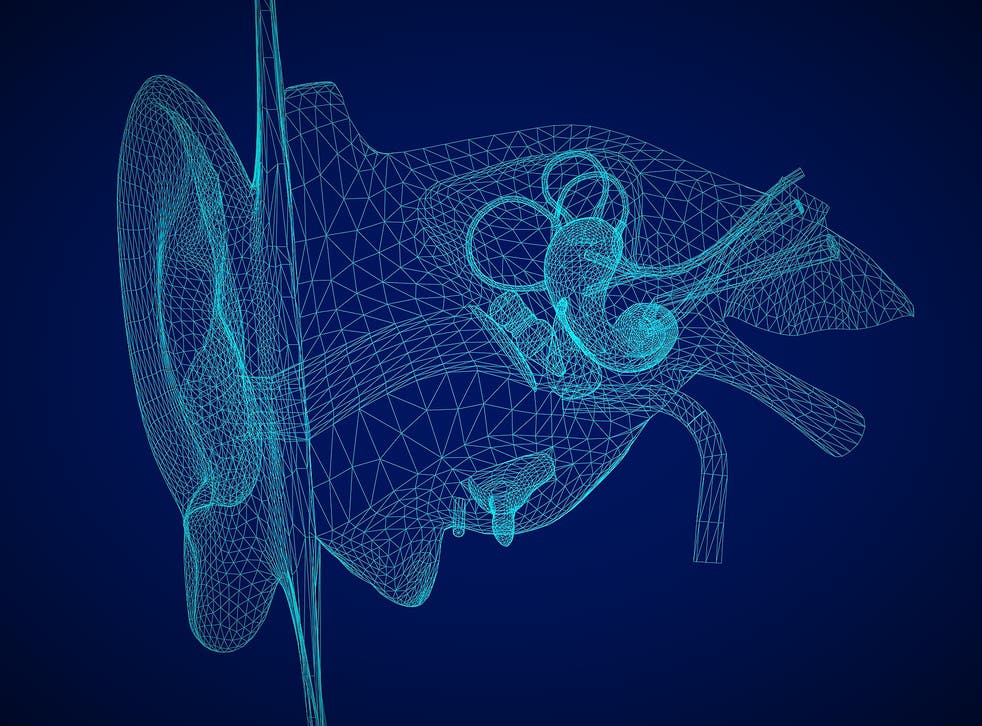 Wolverine: Το απόρρητο project της Google που υπόσχεται υπεράνθρωπη ακοή!