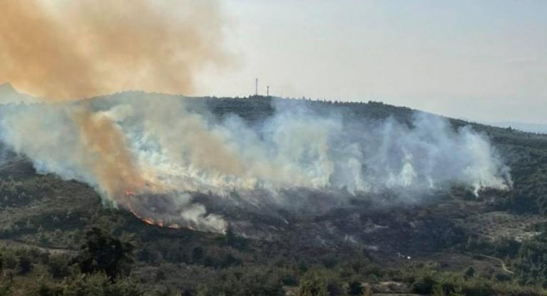 Σήκωσαν canadair και super puma για τη φωτιά στον Κάλαμο