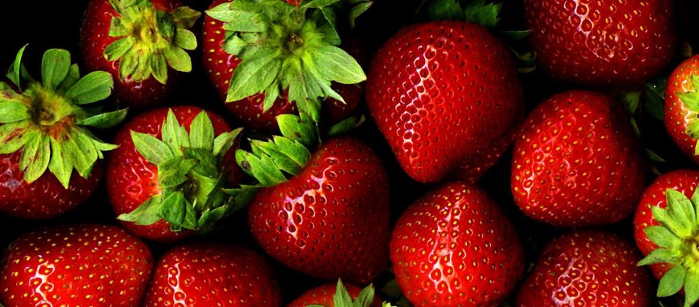 Με αυτό τον ασφαλή τρόπο θα διώξετε τα ζωύφια από τις φράουλές σας