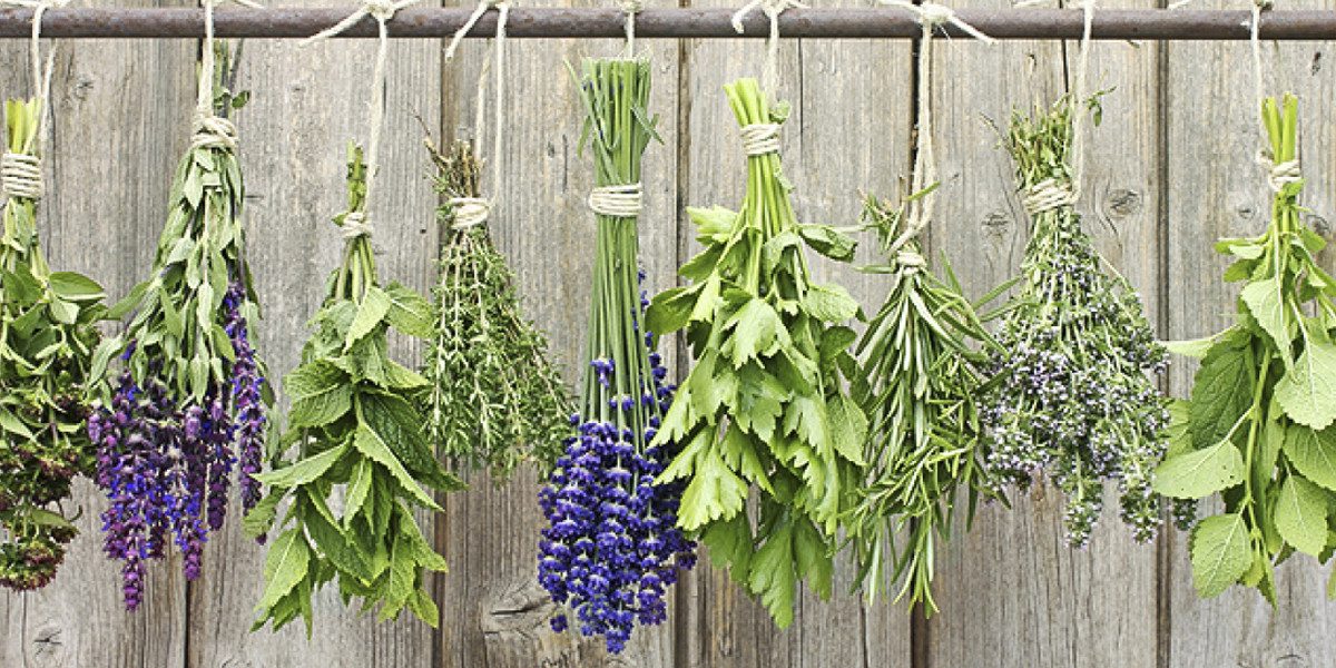 Αυτό το βότανο που ενισχύει το ανοσοποιητικό σύστημα και προλαμβάνει τον καρκίνο!