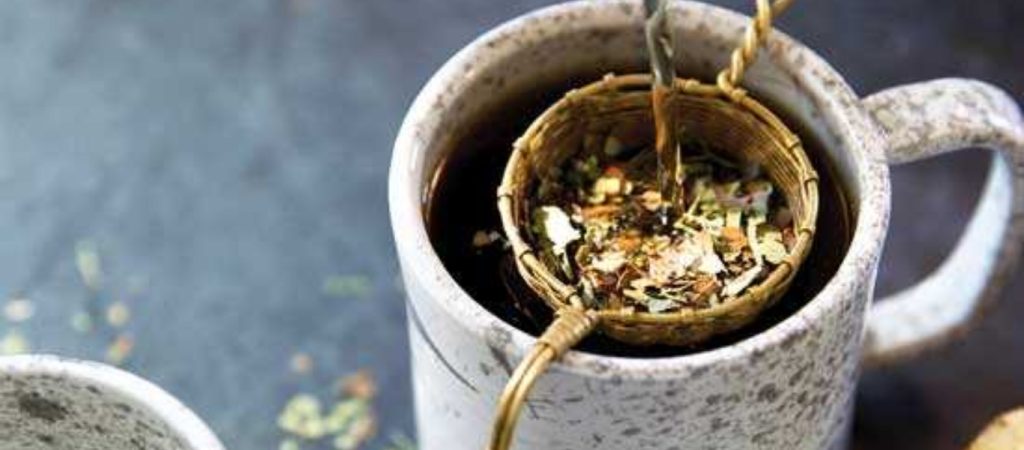 H ιστορία πίσω από το τσάι Yaupon – Η εξαφάνιση και η αναγέννησή του