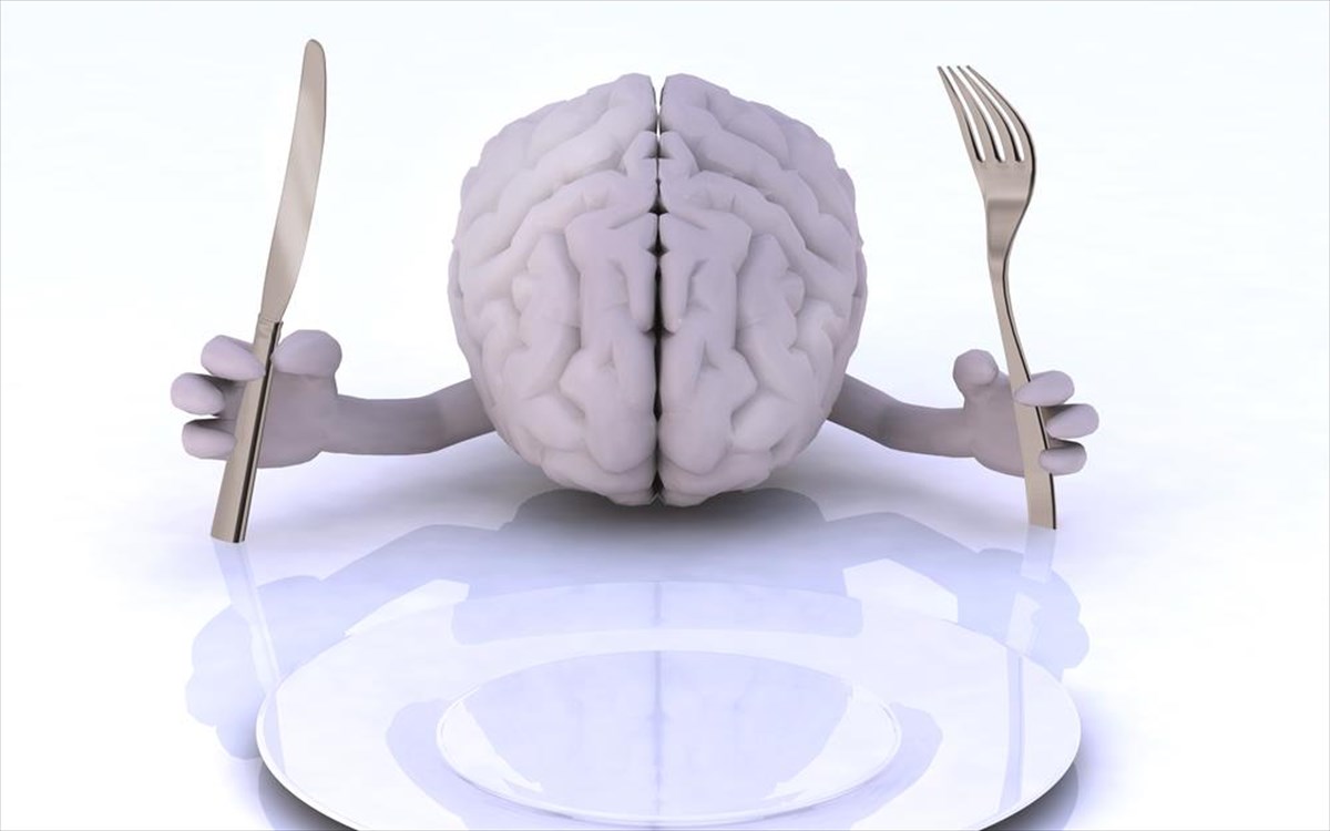 Οι επιπτώσεις τροφών “κοκτέϊλ” υδατάνθρακα και λίπους στον εγκέφαλο