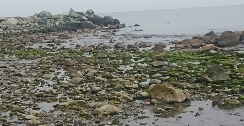 Μπήκε η… στεριά στη θάλασσα στο Κόκκινο Νερό της Λάρισας (βίντεο)