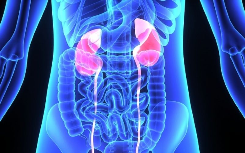 Τρεις ενδείξεις πως τα νεφρά σου δεν είναι σε καλή κατάσταση