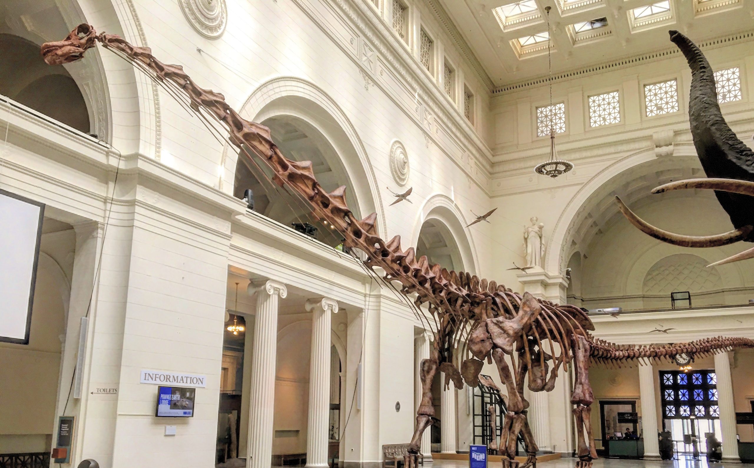 Παταγοτιτάνας: Ο μεγαλύτερος δεινόσαυρος που περπάτησε στη γη (φωτό)