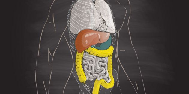 Πέντε τροφές που θα καθαρίσουν γρήγορα και φυσικά το πεπτικό σας σύστημα