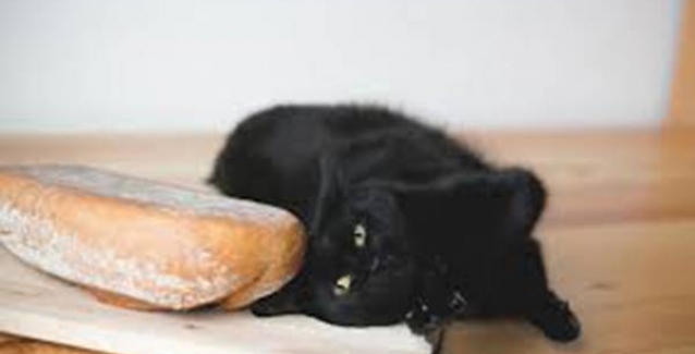 Πώς βγήκε η φράση: «Είναι κατσικοπόδαρος»