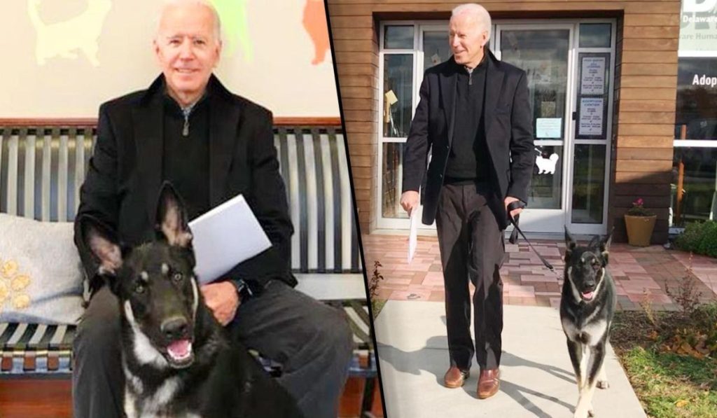 ΗΠΑ: Στον Λευκό Οίκο επιστρέφει ξανά ο σκύλος του Τ.Μπάιντεν που δάγκωσε φρουρό ασφαλείας