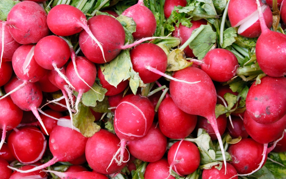 Ραπανάκια: Τα σημαντικά οφέλη τους στην υγεία μας