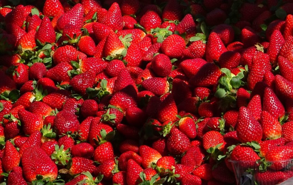 Αυτά είναι τα οφέλη που έχουν οι φράουλες – Κίνδυνοι και προφυλάξεις