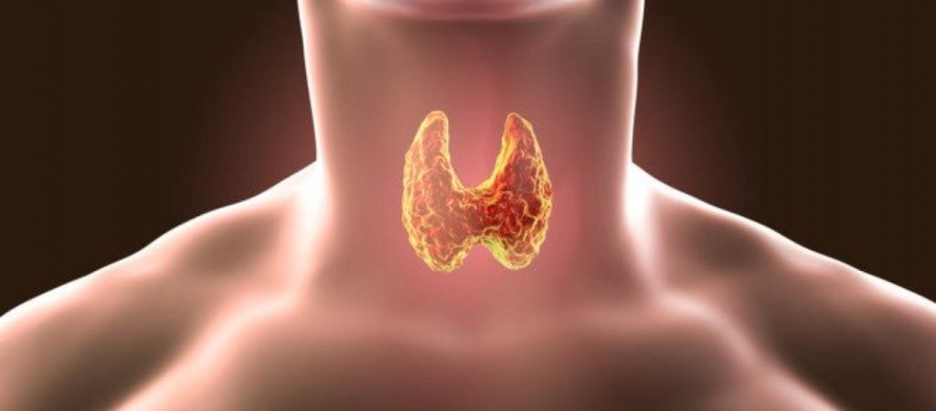 Αυτά είναι τα τρόφιμα που «αγαπούν» τον θυρεοειδή