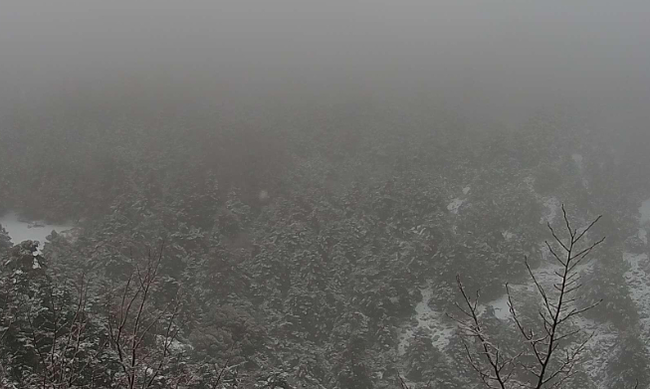 Πυκνή χιονόπτωση στην Πάρνηθα – Δείτε live (βίντεο)