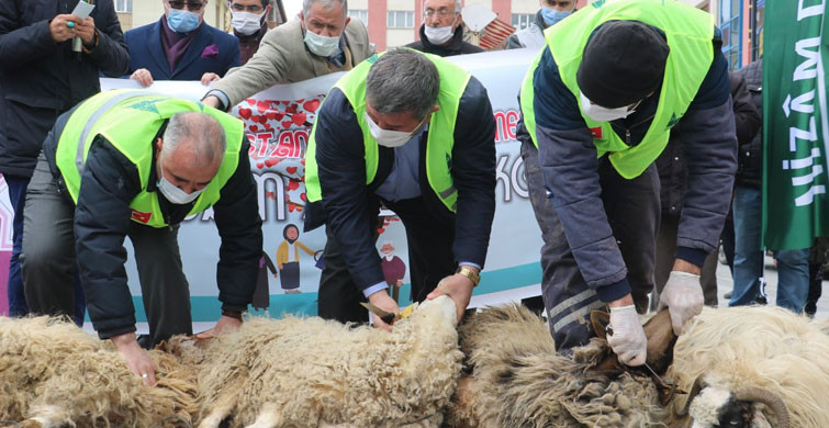 Τουρκία: Έσφαξαν 8 πρόβατα από την χαρά τους για την κατάργηση της σύμβασης της Κωνσταντινούπολης (βίντεο)