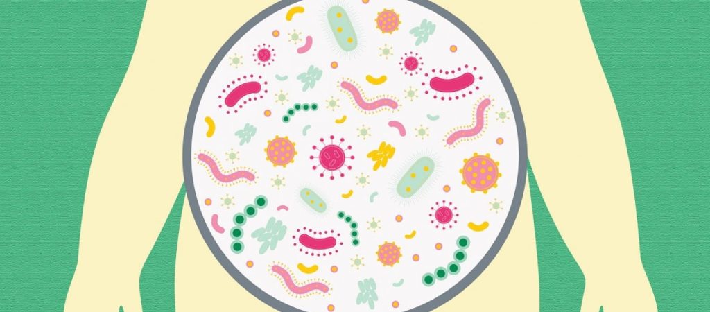 Αυτά είναι τα οφέλη που έχουν για την υγεία τα προβιοτικά