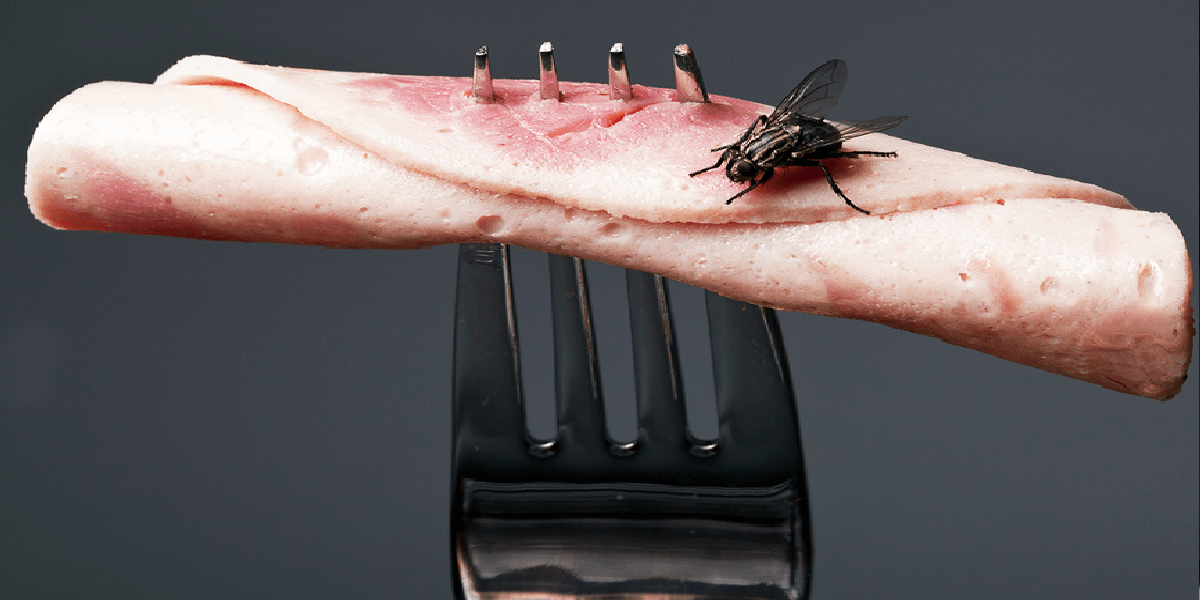 Το έξυπνο κόλπο με το φελλό για να διώξετε τα ενοχλητικά έντομα – Τι πρέπει να προσέξετε
