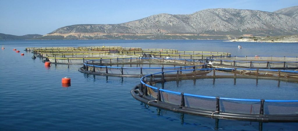 Χωροταξικό και χρηματοδότηση το κεντρικό θέμα συζήτησης στη ΓΣ της Οργάνωσης Παραγωγών Υδατοκαλλιέργειας