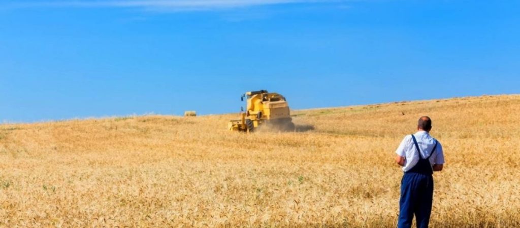Ποια είναι η διαδικασία αποζημίωσης αγροτών σε Έβρο και Καρδίτσα – Τα απαιτούμενα δικαιολογητικά