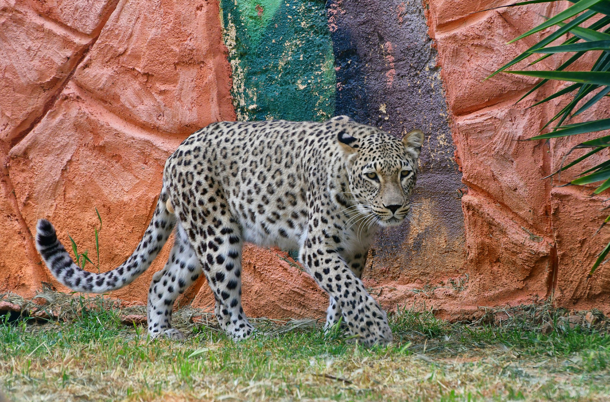 Ανοιχτά από αύριο τα ζωολογικά πάρκα – Πως θα μετακινηθείτε (φώτο)