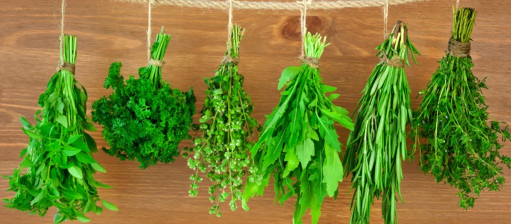 Χρήσιμες συμβουλές για να διατηρήσετε φρέσκα τα μυρωδικά σας