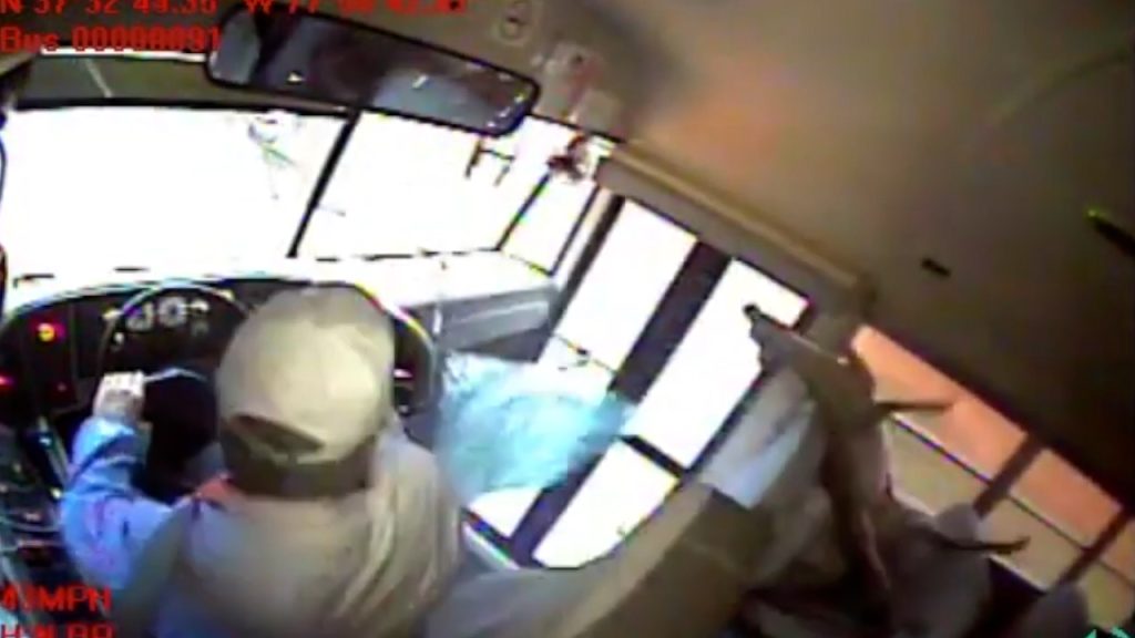 Βίντεο: Ελάφι πέφτει πάνω σε παρμπρίζ σχολικού και προσγειώνεται σε μαθητή που κοιμάται