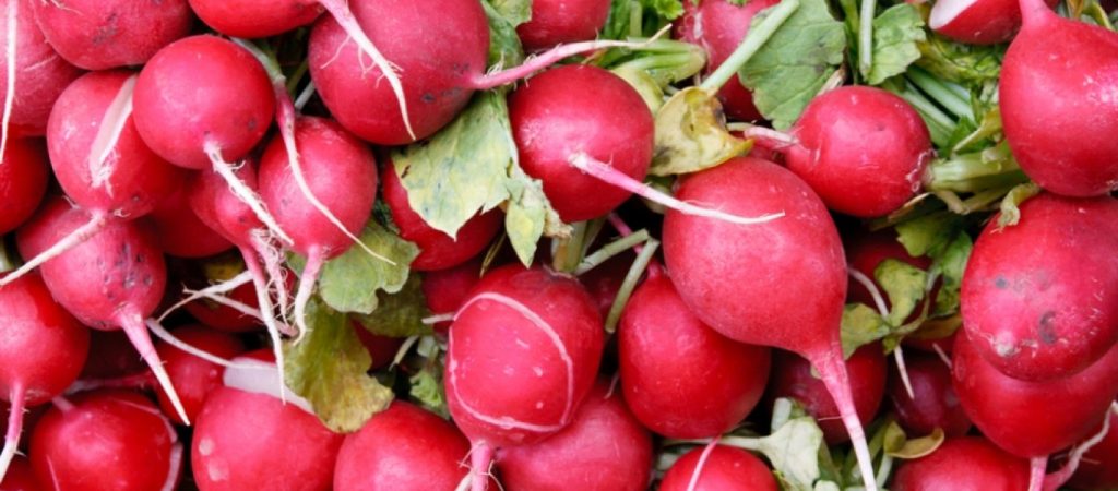 Ραπανάκια: Τα σημαντικά οφέλη τους στην υγεία μας