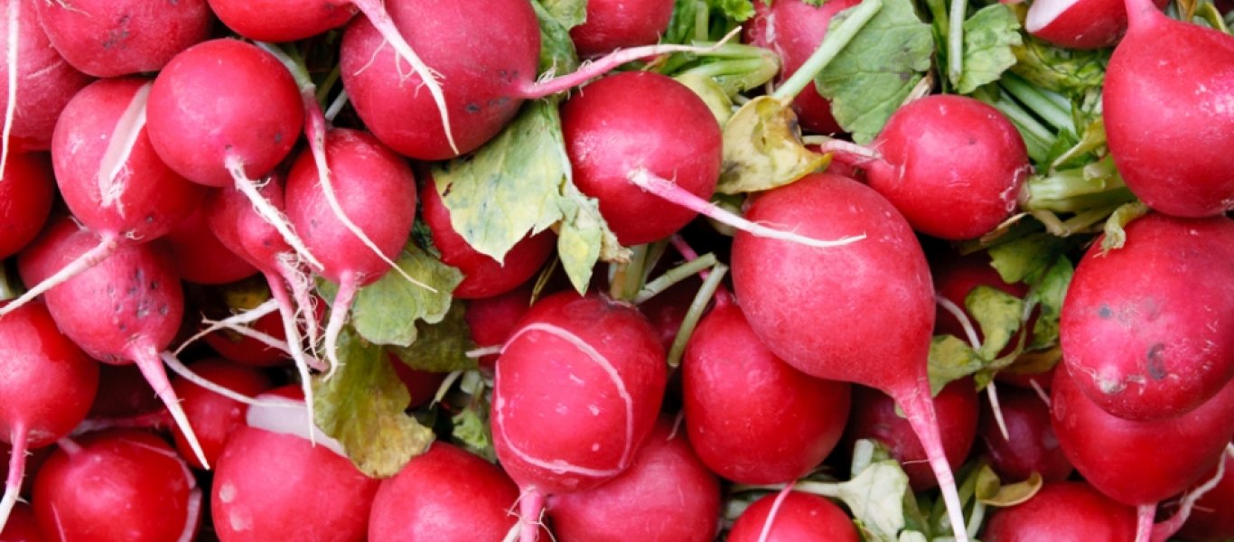 Ραπανάκια: Τα σημαντικά οφέλη τους στην υγεία μας