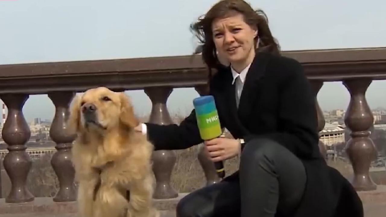 Βίντεο: Σκύλος «επιτέθηκε» σε δημοσιογράφο κατά τη διάρκεια ζωντανής μετάδοσης και της άρπαξε το μικρόφωνο