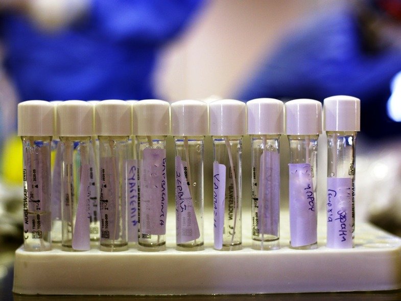 Τα στοιχεία που οδήγησαν σε «μπλόκο» στην Αχαΐα, Θεσσαλονίκη και Κοζάνη