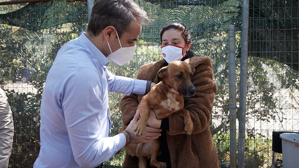 Παγκόσμια Ημέρα Αδέσποτων: Το καταφύγιο ζώων στην Ηλιούπολη επισκέφθηκε ο Κ.Μητσοτάκης (φώτο)