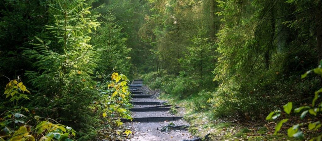 Δασικοί χάρτες: Παρατείνεται για έξι μήνες η υποβολή των αντιρρήσεων