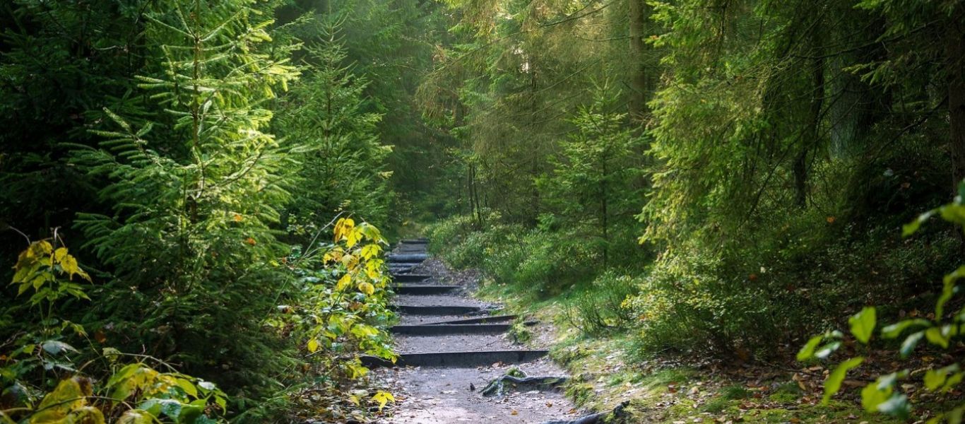 Δασικοί χάρτες: Παρατείνεται για έξι μήνες η υποβολή των αντιρρήσεων