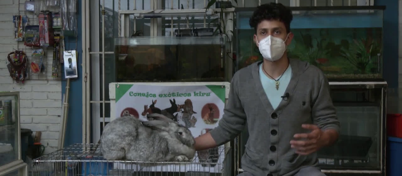 Κουνέλια βγαλμένα από παραμύθι – Φοιτητής στο Μεξικό εκτρέφει τα μεγαλύτερα στον κόσμο (βίντεο)