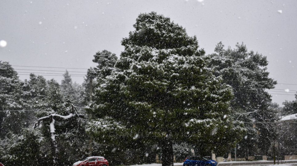 Χιονίζει σε Φλώρινα και Κοζάνη – Έφτασε τους -5 βαθμούς η θερμοκρασία (βίντεο)