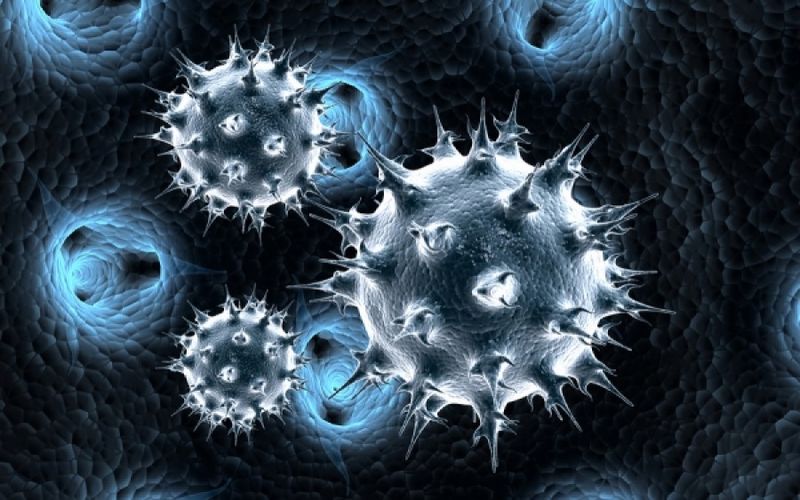 Υπάρχουν 1,7 εκατομμύρια ιοί στη φύση που δεν έχουμε ανακαλύψει σύμφωνα με έκθεση του ΟΗΕ