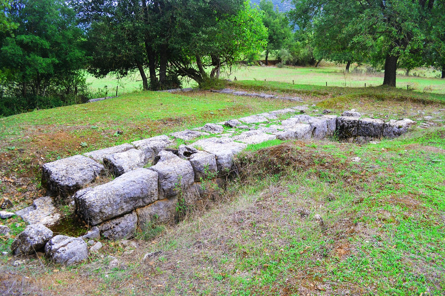 Καλάβρυτα: Απόπειρα αρχαιοκαπηλείας σε αρχαίο νεκροταφείο (φωτο)