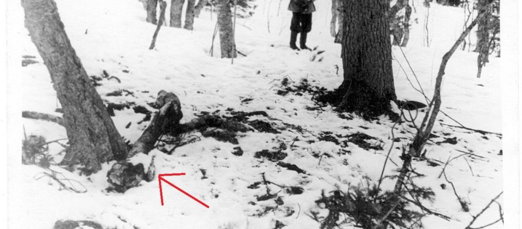 Πέρασμα Ντιάτλοφ: Το μεγάλο αίνιγμα με τον ανεξιχνίαστο θάνατο Ρώσων φοιτητών (βίντεο)