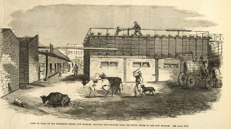 Το σκάνδαλο γάλακτος: Όταν μια μυστηριώδης ασθένεια σκότωσε 8.000 παιδιά