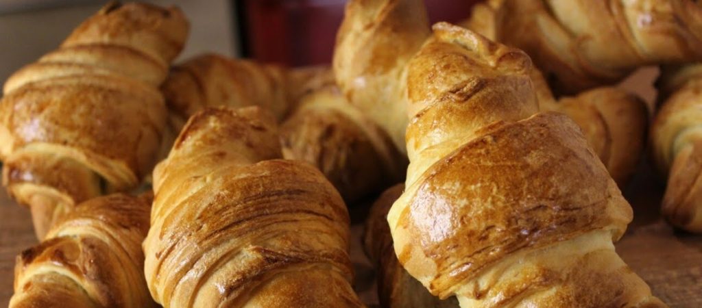 Πολωνία: Κλήθηκε οργάνωση για άγρια ζώα – Τελικά ήταν ένα… κρουασάν (φώτο)