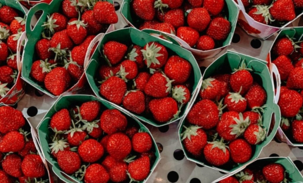 Με αυτό το μυστικό θα απομακρύνετε τα ζωύφια από τις φράουλες (βίντεο)