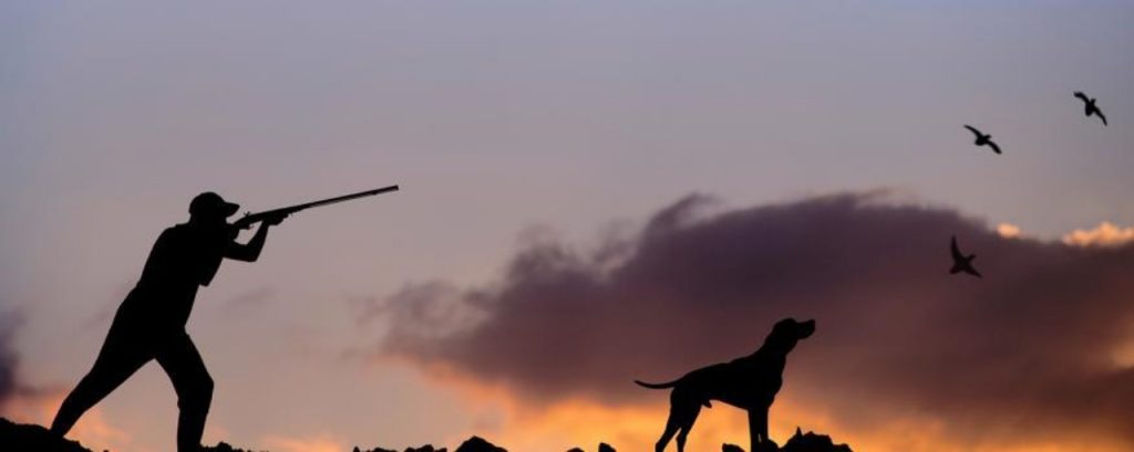 Κυνήγι: Δυνατότητα απαλλαγής ποσών υπέρ του Δημοσίου για την έκδοση άδειας