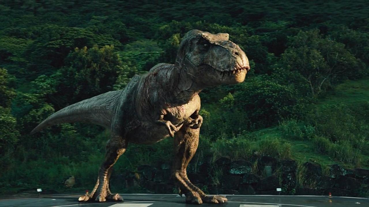 Συνολικά 2,5 δισεκατομμύρια Τυραννόσαυροι περπάτησαν στη Γη την εποχή των δεινοσαύρων σύμφωνα με τους επιστήμονες