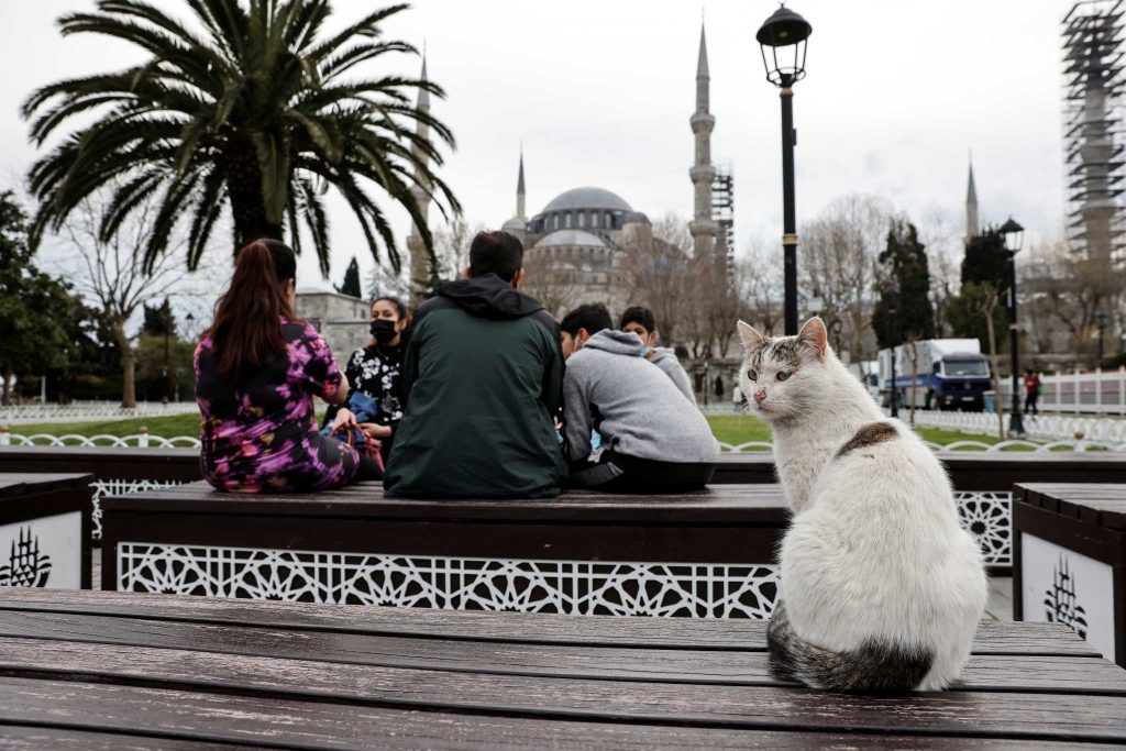 Κορωνοϊός: 62.606 νέα κρούσματα και 288 νεκρούς σε 24 ώρες στην Τουρκία