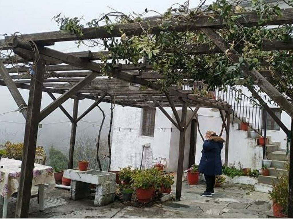 Φονικό στη Μακρυνίτσα: Κίνηση ανθρωπιάς από τη τσιμεντοβιομηχανία «Ηρακλής» – Αναλαμβάνει την «υιοθεσία» του παιδιού