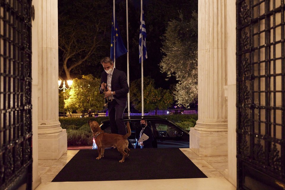 Βολές φιλοζωικής προς Κ.Μητσοτάκη: «Δώστε λύσεις χωρίς να ποινικοποιείτε τη φιλοζωία»