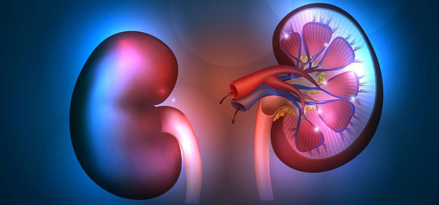 Αυξήστε αυτό στη διατροφή σας και μειώστε τον κίνδυνο για νεφρική νόσο